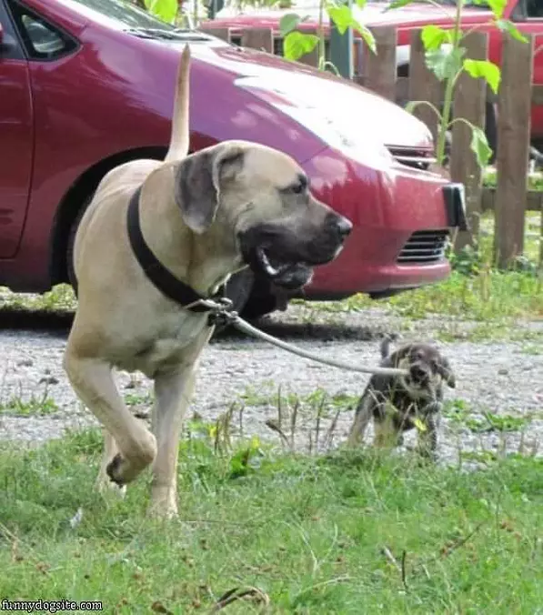 Get Back Here