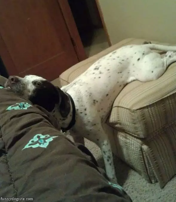 I Sit How I Want