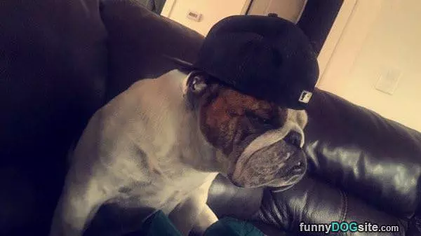 Slow Day