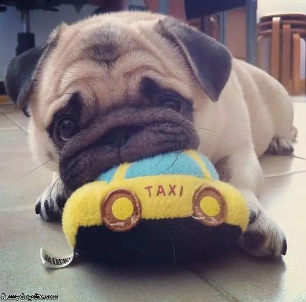 Tiny Little Nommmmnom