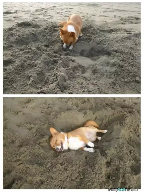 Building Myself A Bed