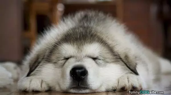 Getting Some Zzzs