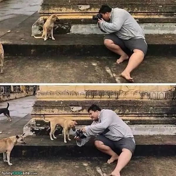 Can I See Those