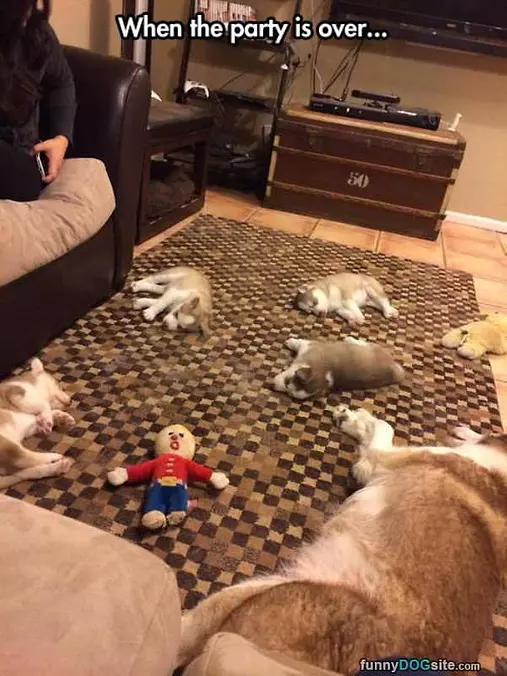 The Party Is Over
