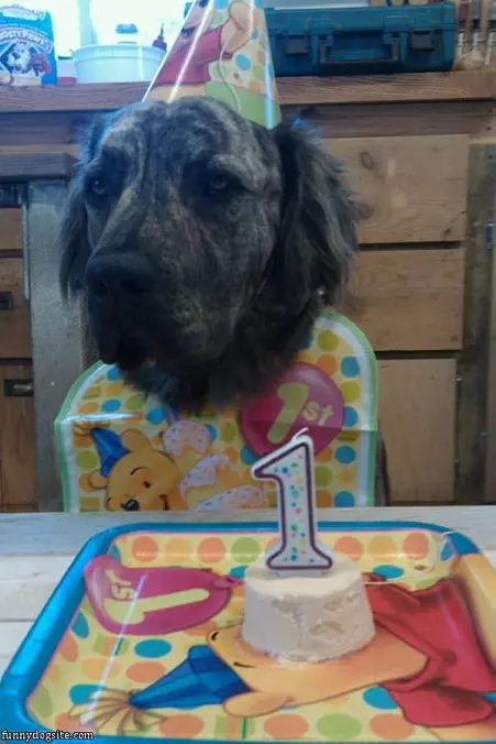 Birthday Cake
