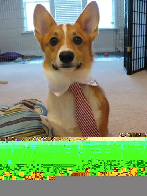 All Business