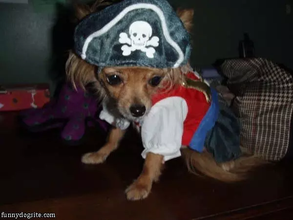 Pirate Bean