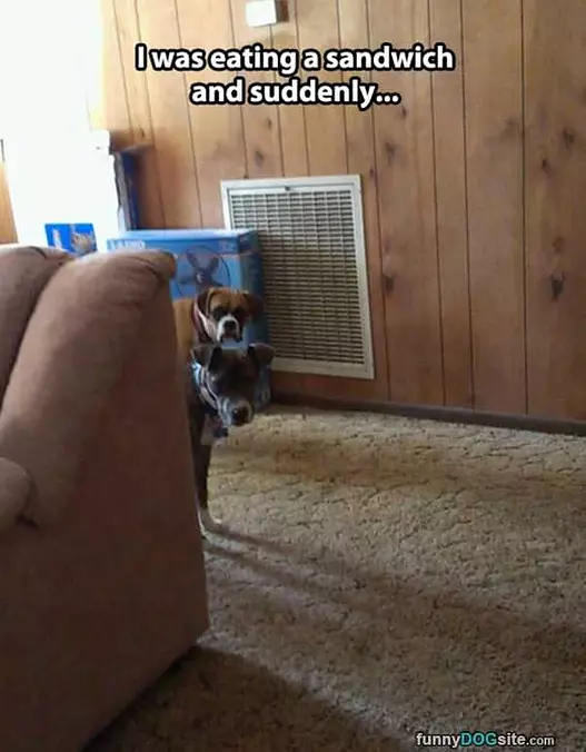 Eating A Sandwich