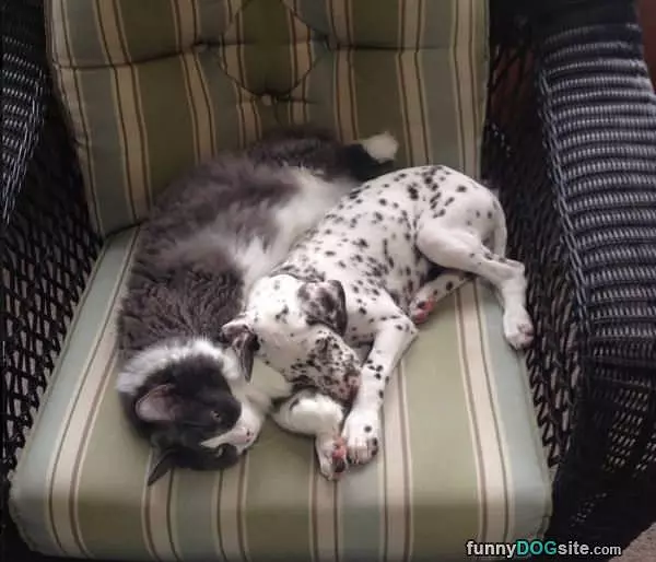 Cuddling Up