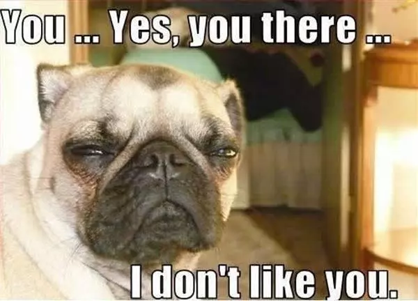 You There