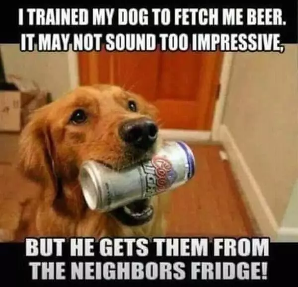 Impressive Trick