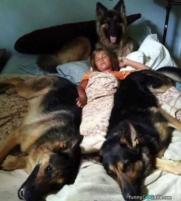 Safe Place To Sleep