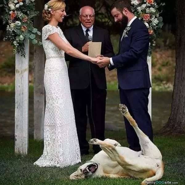 I Love This Wedding