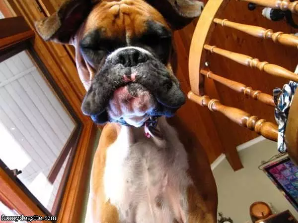 What Did You Say