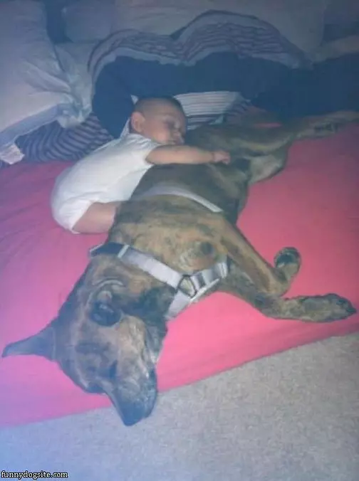 Asleep With My Puppy