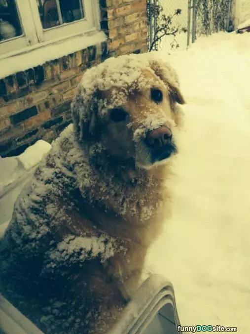 Snow Isnt So Bad