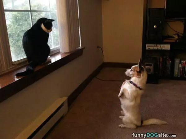 Stand Off