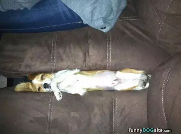Very Comfortable