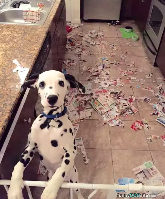 Made A Little Mess