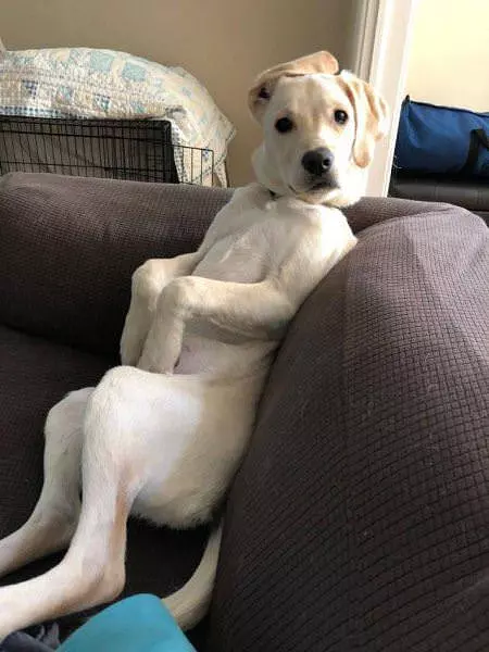 What You Say