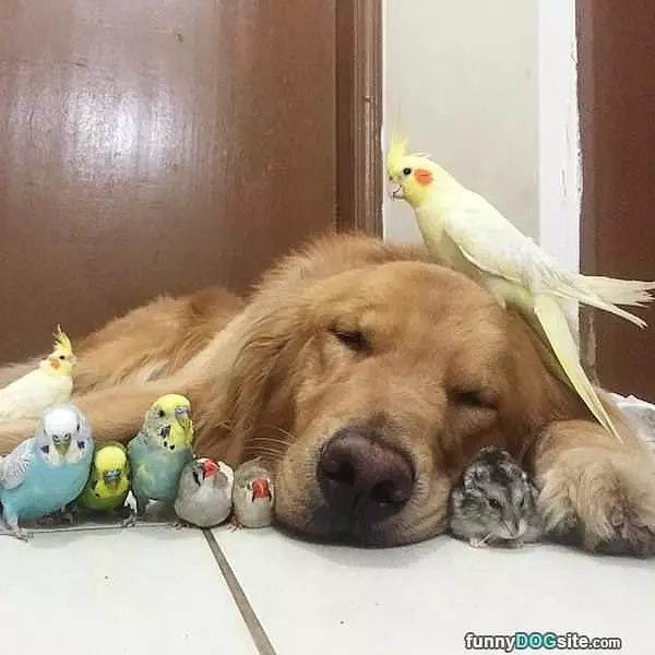 Sleeping In Today