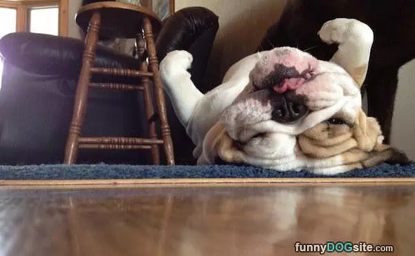 I Sleep Where I Want