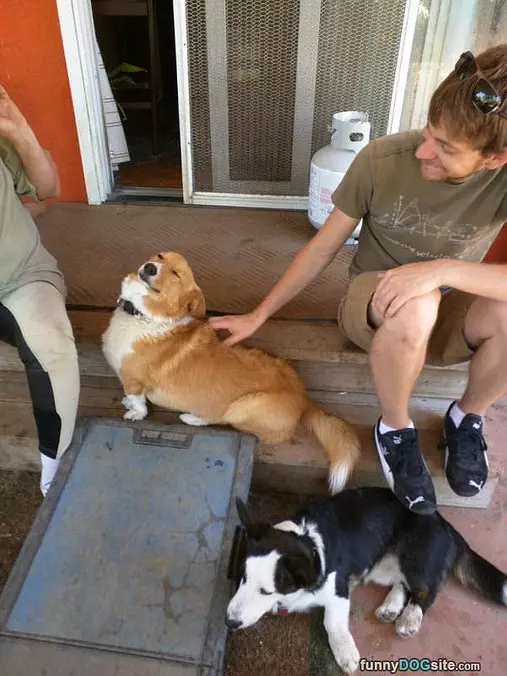 Thats The Spot