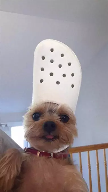 Crock Head