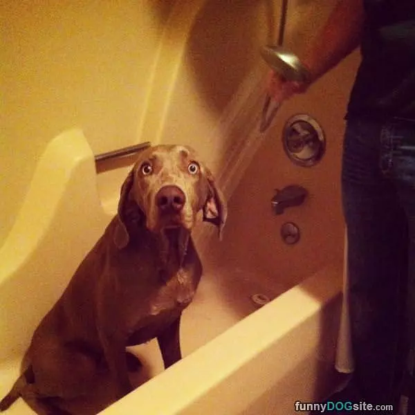 I Dont Want A Bath Please