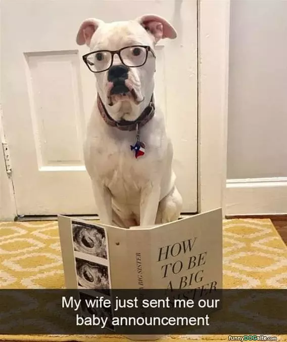 Baby Announcement
