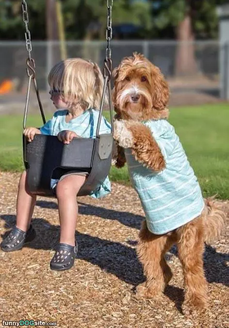 Pushing The Swing