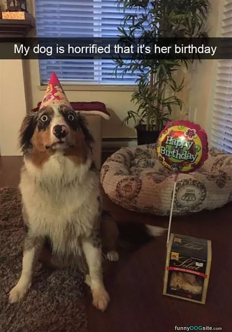 My Birthday