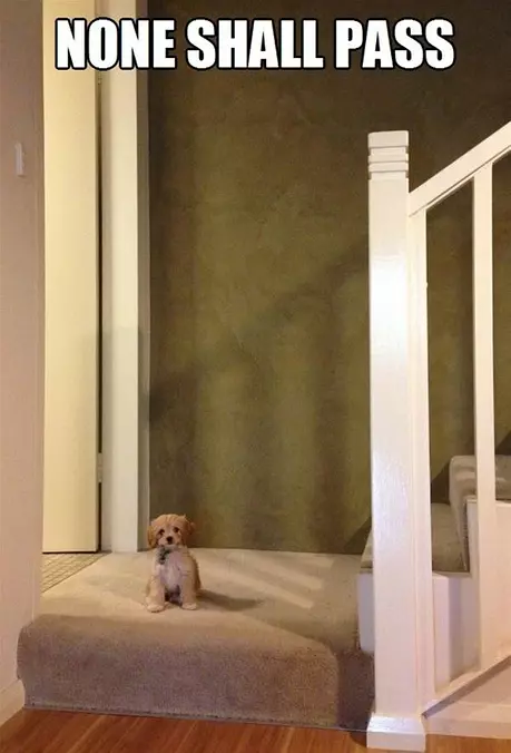 None Shall Pass