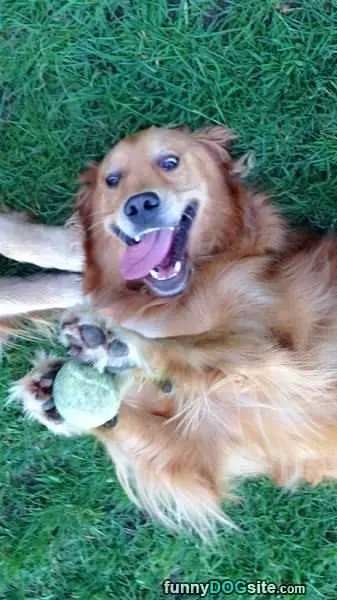 Love This Ball
