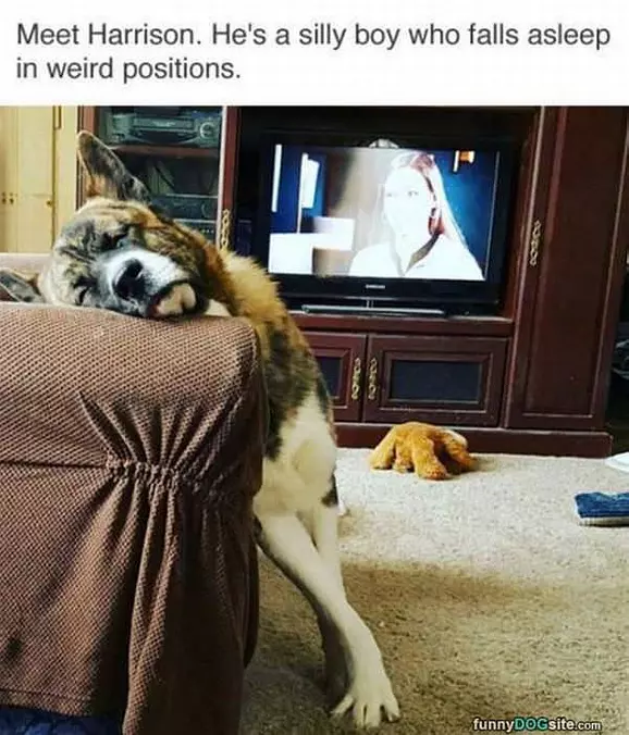 Falls Asleep In Weird Positions