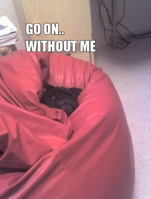 Go Without Me