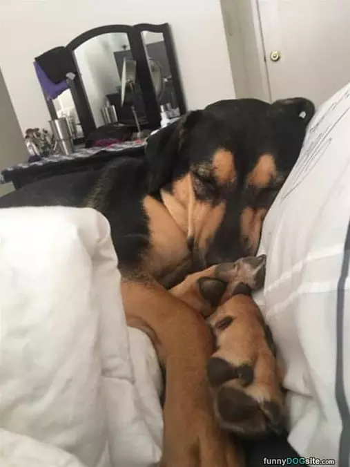 I Am All Tucked In