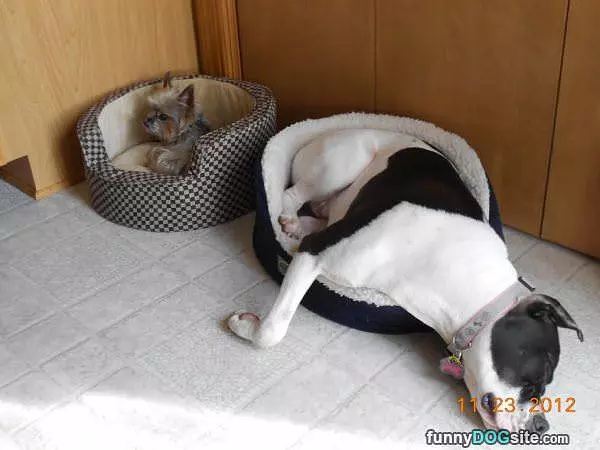 So Very Comfortable