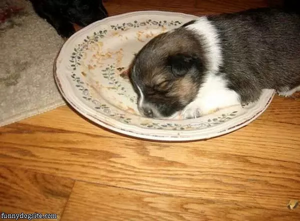 Saving For Later