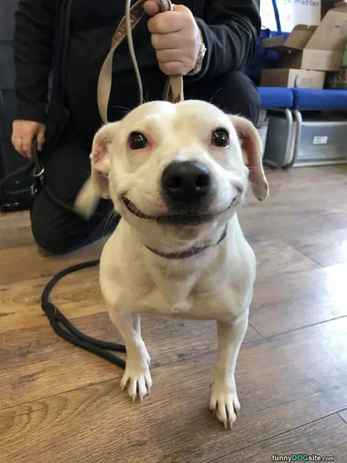 Hiiii
