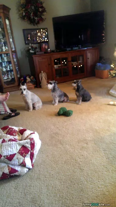 Waiting In Line