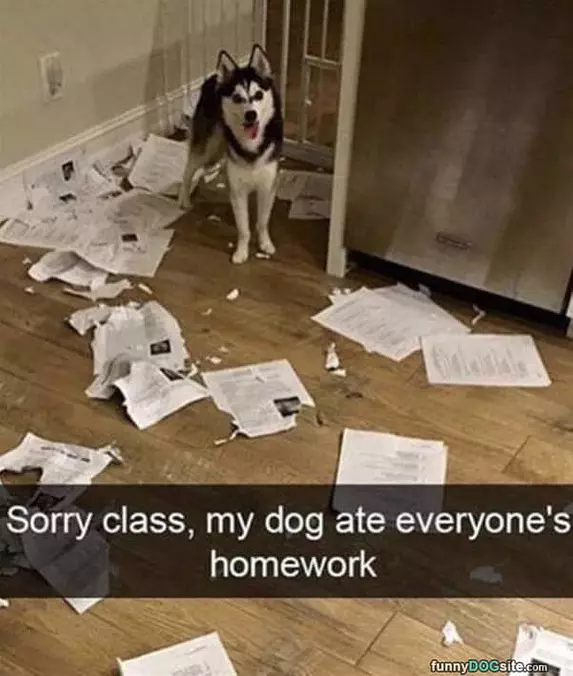 Sorry Class
