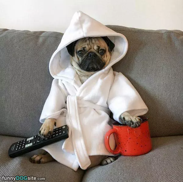 Relaxing Morning