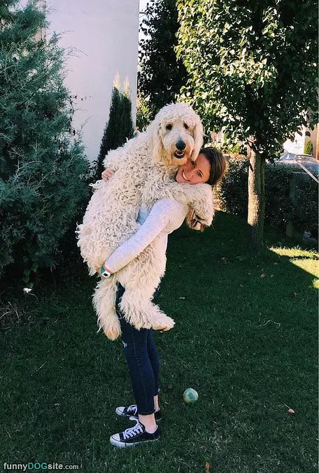 Carry Me