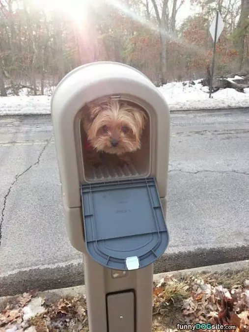 Package Has Arrived
