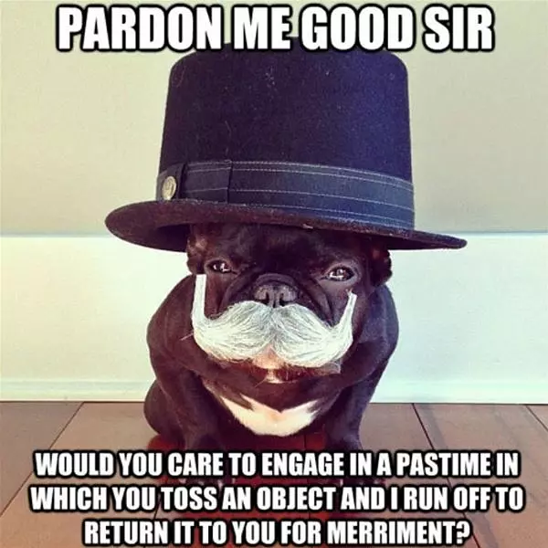 Pardon Me Good Sir