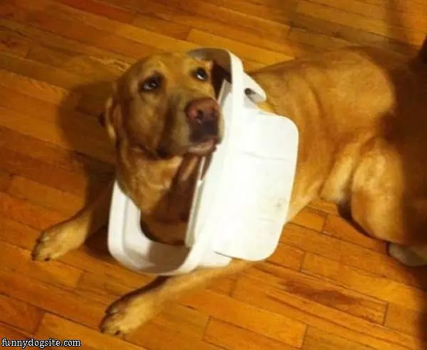 It Wasnt Me