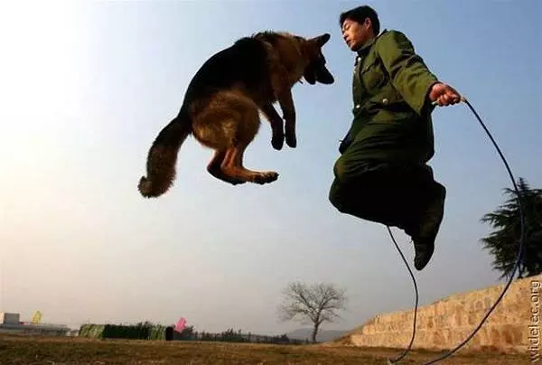 Jump Rope