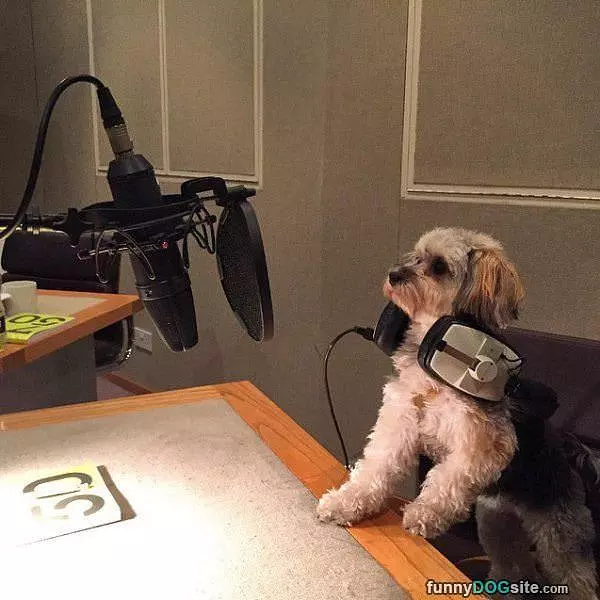 Doggy Dj