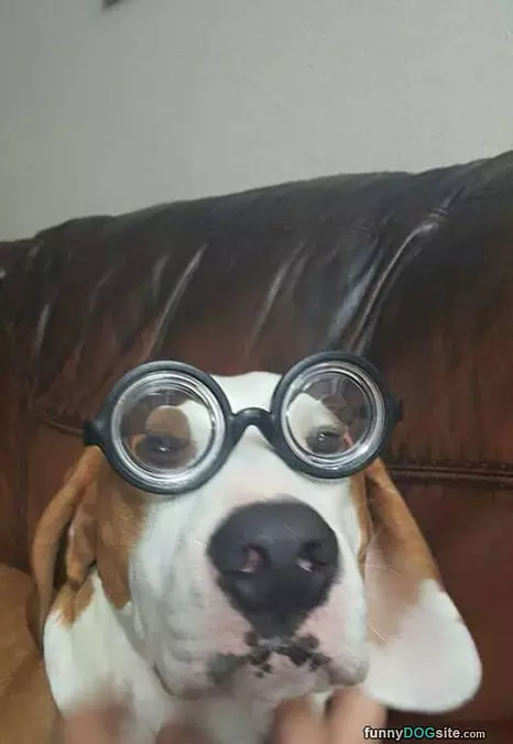 My Strong Glasses